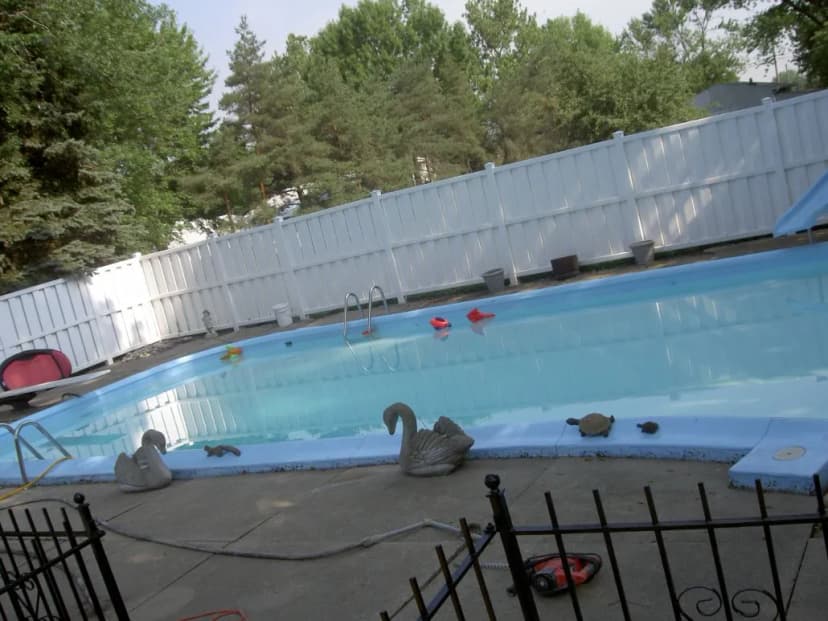 Backyard swimming pool with toys and decorative swans