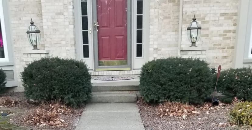 Front entryway of a house with red door and greenery
